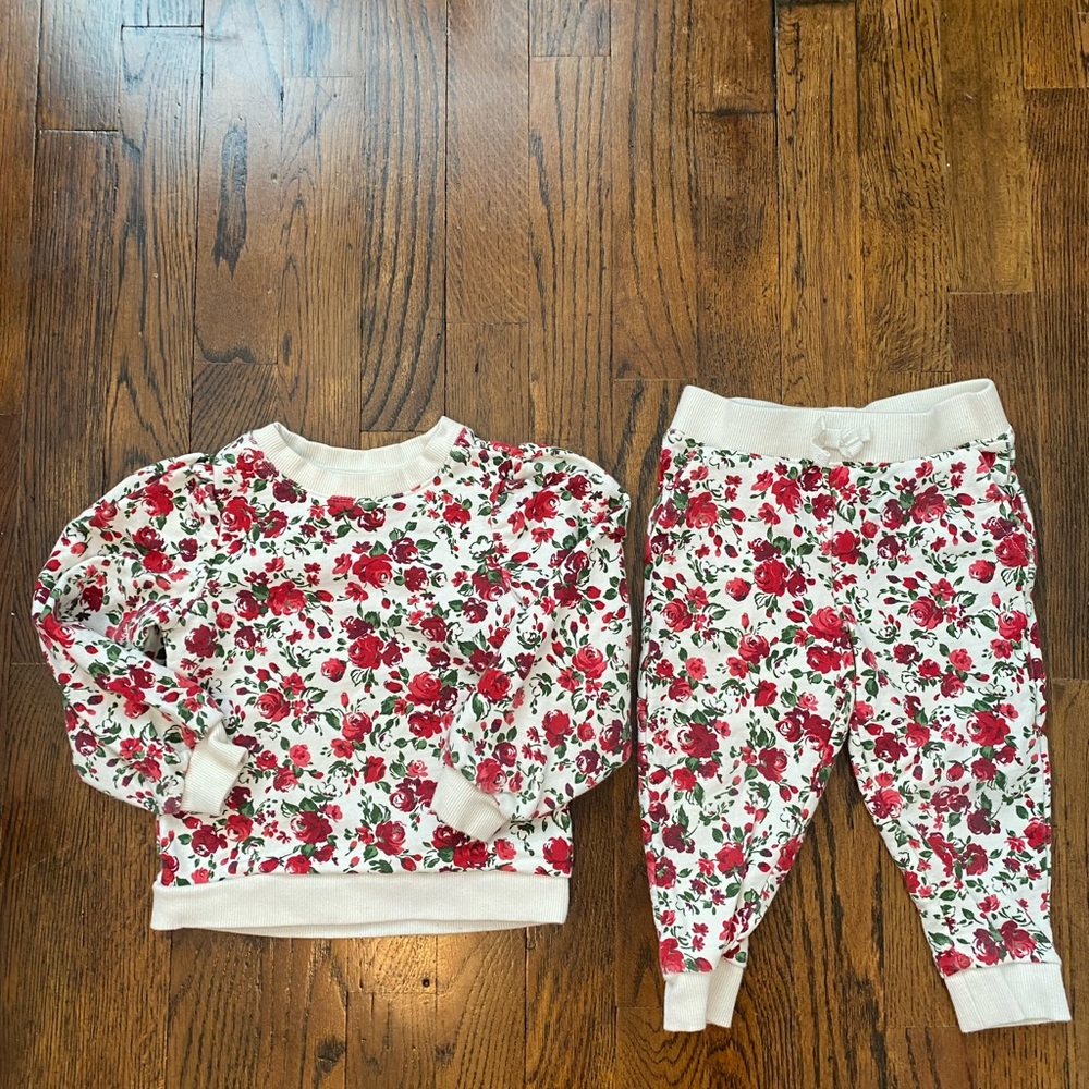 Janie and Jack 2T/3 Red Floral Sweatshirt and Sweatpants